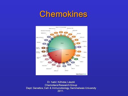 Chemokines Dr. habil. Kőhidai, László Chemotaxis Research Group