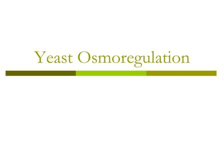 Yeast Osmoregulation.  Introduction  Sensing osmotic changing  HOG signaling pathways  Transcriptional Responses  Response To Hyperosmotic Shock.