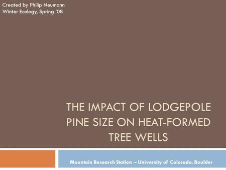 THE IMPACT OF LODGEPOLE PINE SIZE ON HEAT-FORMED TREE WELLS Created by Philip Neumann Winter Ecology, Spring ‘08 Mountain Research Station – University.