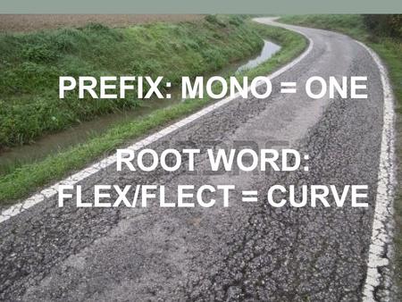 Prefix: Mono = one root word: flex/flect = curve