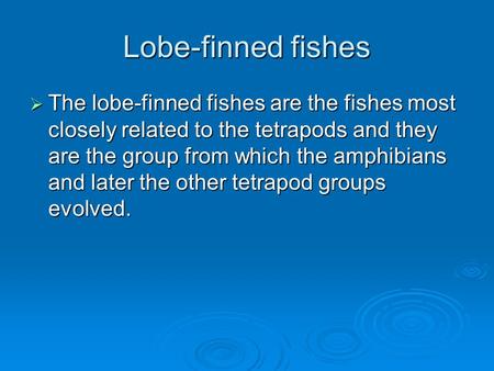 Lobe-finned fishes  The lobe-finned fishes are the fishes most closely related to the tetrapods and they are the group from which the amphibians and later.