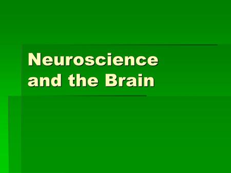 Neuroscience and the Brain. Cerebral Cortex and Hemispheres  Cerebral cortex: outermost layer of the brain  Spread out all the wrinkles-cerebral cortex.
