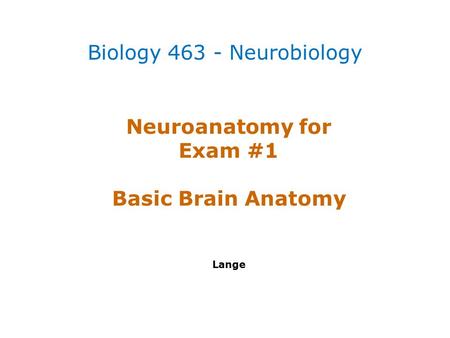Neuroanatomy for Exam #1 Basic Brain Anatomy Lange Biology 463 - Neurobiology.