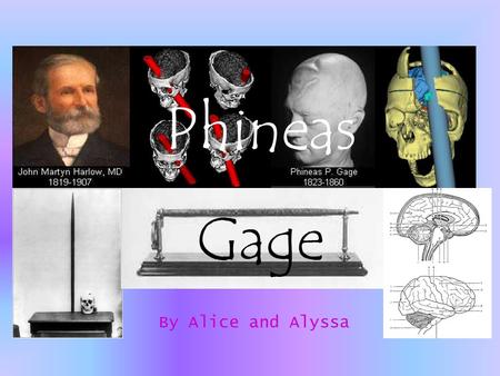 Phineas Gage By Alice and Alyssa.