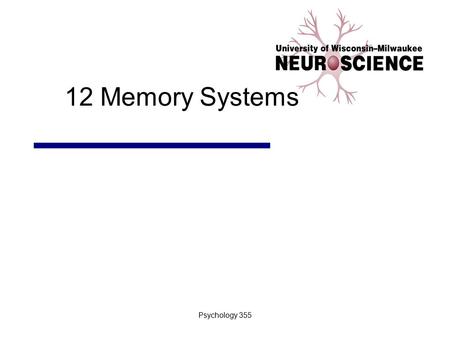 12 Memory Systems Psychology 355.