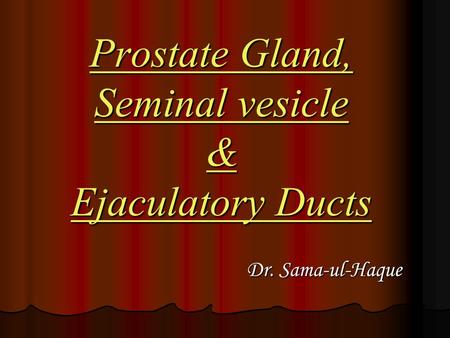 Prostate Gland, Seminal vesicle & Ejaculatory Ducts