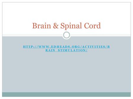 RAIN_STIMULATION/  RAIN_STIMULATION/ Brain & Spinal Cord.