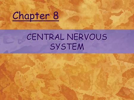 CENTRAL NERVOUS SYSTEM Chapter 8. ©2004 Delmar Learning, a division of Thomson Learning, Inc. INTRODUCTION TO THE CENTRAL NERVOUS SYSTEM Functions of.