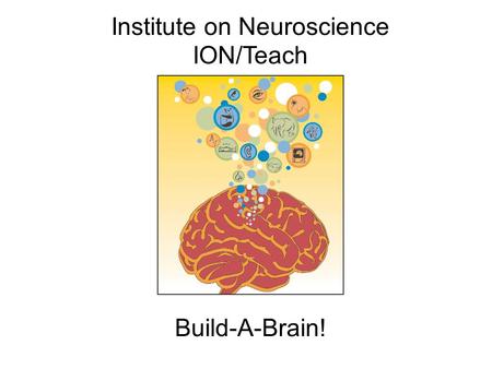 Institute on Neuroscience ION/Teach Build-A-Brain!