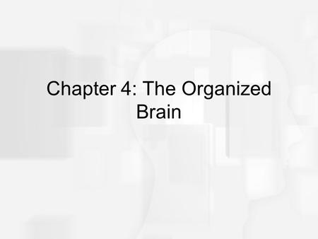 Chapter 4: The Organized Brain