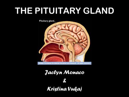 THE PITUITARY GLAND Jaclyn Monaco & Kristina Vukaj.