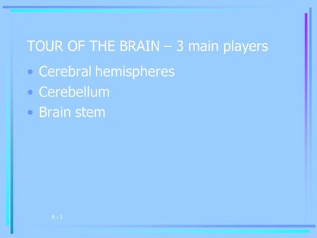 9 - 1 TOUR OF THE BRAIN – 3 main players Cerebral hemispheres Cerebellum Brain stem.