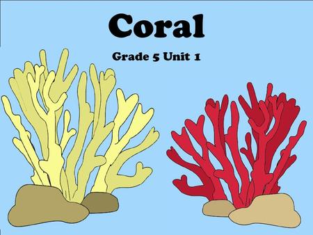 Coral Grade 5 Unit 1. Topics to be Covered… What is coral? How is coral classified? Coral biology Coral identification Coral conservation.