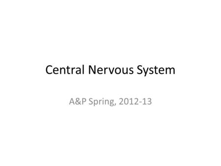 Central Nervous System A&P Spring, 2012-13. Cerebrum: highly folded, largest volume, problem solving, memory, personality, sensory interpretation, initiates.