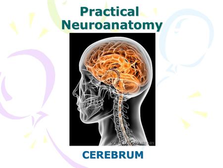 Practical Neuroanatomy