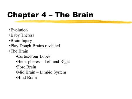 Chapter 4 – The Brain Evolution Baby Theresa Brain Injury