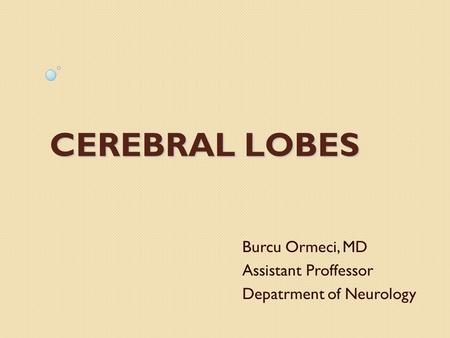 CEREBRAL LOBES Burcu Ormeci, MD Assistant Proffessor Depatrment of Neurology.