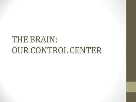THE BRAIN: OUR CONTROL CENTER. Most left-brained people. The same hemisphere that contains most language functions also is usually more involved in logic,