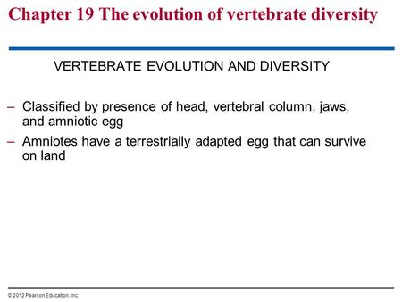 Chapter 19 The evolution of vertebrate diversity