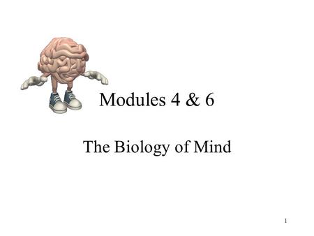 Modules 4 & 6 The Biology of Mind 1. Neuron - 100 Billion - Communication System.