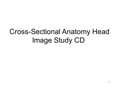 1 Cross-Sectional Anatomy Head Image Study CD. 2 Disclaimer This workforce solution was funded by a grant awarded under the President’s Community-Based.