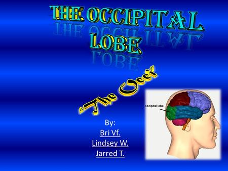 The Occipital Lobe is the rearmost lobe in each cerebral hemisphere of the brain. It contains the visual center of the brain. - It is one of the main.