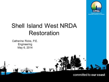 Shell Island West NRDA Restoration