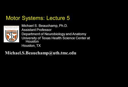 Michael S. Beauchamp, Ph.D. Assistant Professor Department of Neurobiology and Anatomy University of Texas Health Science Center at Houston Houston, TX.