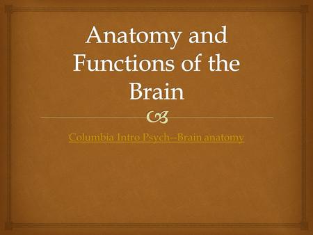 Columbia Intro Psych--Brain anatomy Columbia Intro Psych--Brain anatomy.