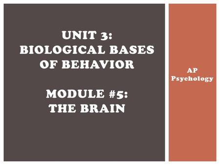Unit 3: Biological Bases of Behavior Module #5: The Brain