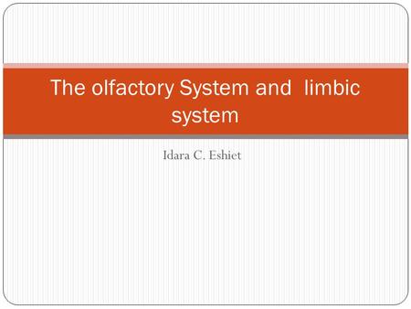 The olfactory System and limbic system