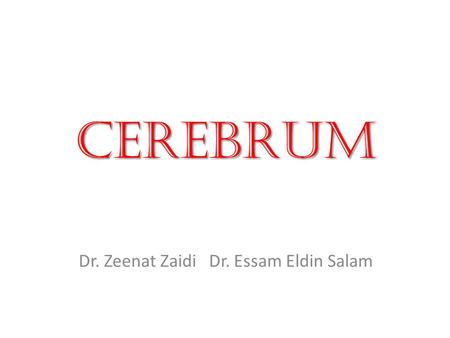 Dr. Zeenat Zaidi Dr. Essam Eldin Salam