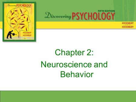 Chapter 2: Neuroscience and Behavior. Neurons and Synapses Types of Neurons SensoryMotor Interneurons.