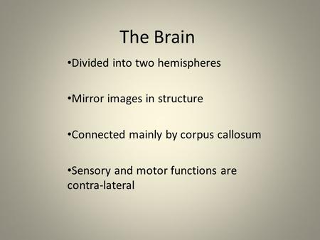 The Brain Divided into two hemispheres Mirror images in structure Connected mainly by corpus callosum Sensory and motor functions are contra-lateral.