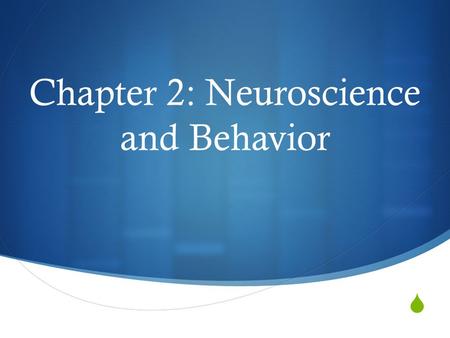 Chapter 2: Neuroscience and Behavior. History of the Mind  1800s  Franz Gall- suggested that bumps on the skull represented peoples individual mental.
