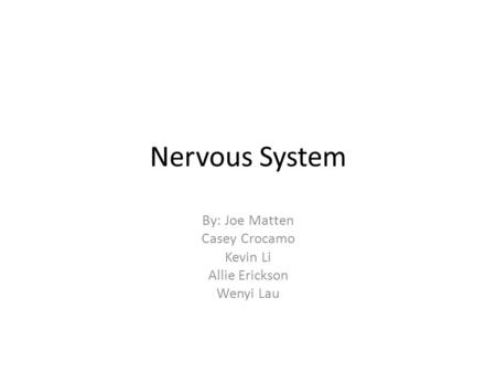 Nervous System By: Joe Matten Casey Crocamo Kevin Li Allie Erickson Wenyi Lau.