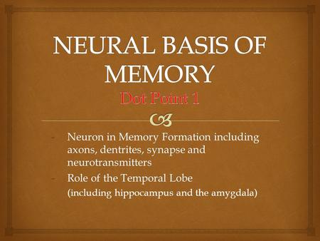 -Neuron in Memory Formation including axons, dentrites, synapse and neurotransmitters -Role of the Temporal Lobe (including hippocampus and the amygdala)