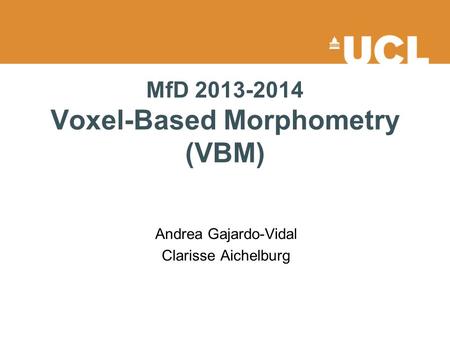 MfD Voxel-Based Morphometry (VBM)