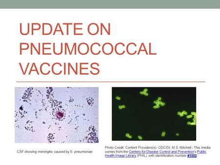 Update on Pneumococcal Vaccines