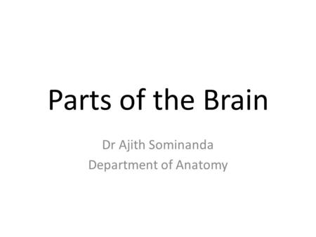 Parts of the Brain Dr Ajith Sominanda Department of Anatomy.