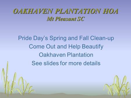 OAKHAVEN PLANTATION HOA Mt Pleasant SC Pride Day’s Spring and Fall Clean-up Come Out and Help Beautify Oakhaven Plantation See slides for more details.