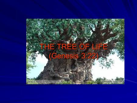 THE TREE OF LIFE (Genesis 3:22). One of the MOST significant symbols in the entire Bible. Was placed for the EVERLASTING benefit of man. Ultimately, the.