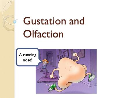 Gustation and Olfaction A running nose!. Why Taste? Help distinguish safe from unsafe ◦ Bitter, sour = unpleasant ◦ Salty, sweet, “meaty” (umami) = pleasant.