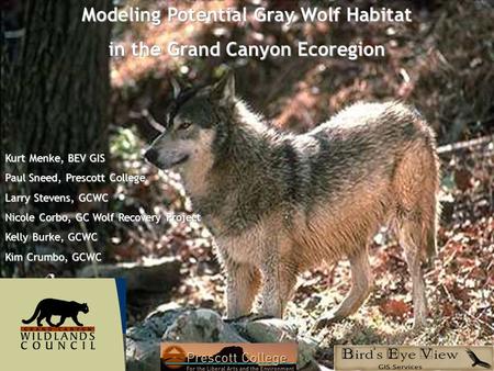 Modeling Potential Gray Wolf Habitat in the Grand Canyon Ecoregion Kurt Menke, BEV GIS Paul Sneed, Prescott College Larry Stevens, GCWC Nicole Corbo, GC.