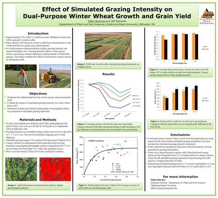 Results Effect of Simulated Grazing Intensity on Dual-Purpose Winter Wheat Growth and Grain Yield Dillon Butchee and Jeff Edwards Department of Plant and.