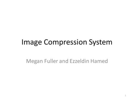 Image Compression System Megan Fuller and Ezzeldin Hamed 1.