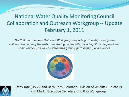 National Water Quality Monitoring Council Collaboration and Outreach Workgroup -- Update February 1, 2011 Cathy Tate (USGS) and Barb Horn (Colorado Division.