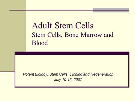 Adult Stem Cells Stem Cells, Bone Marrow and Blood