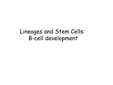 Lineages and Stem Cells: B-cell development. The Circulatory System The circulatory system consists of the heart (to pump blood),the blood vessels (to.