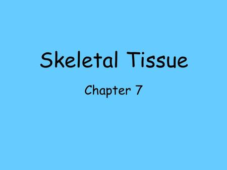 Skeletal Tissue Chapter 7.
